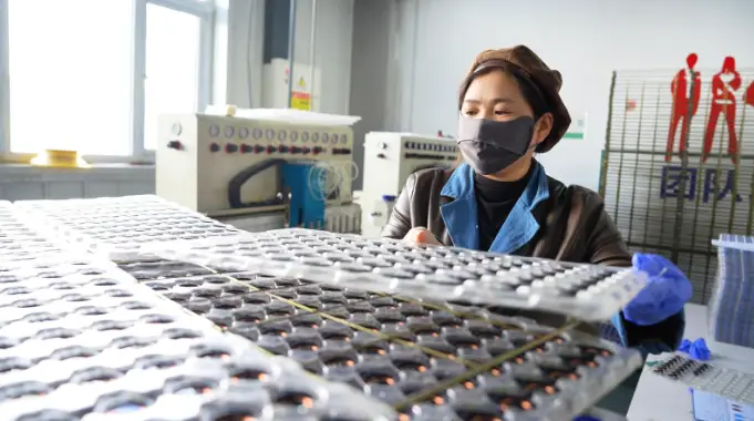 文明中衛:閩寧情更長 山海共潮生 | 閩企向西入“海”來